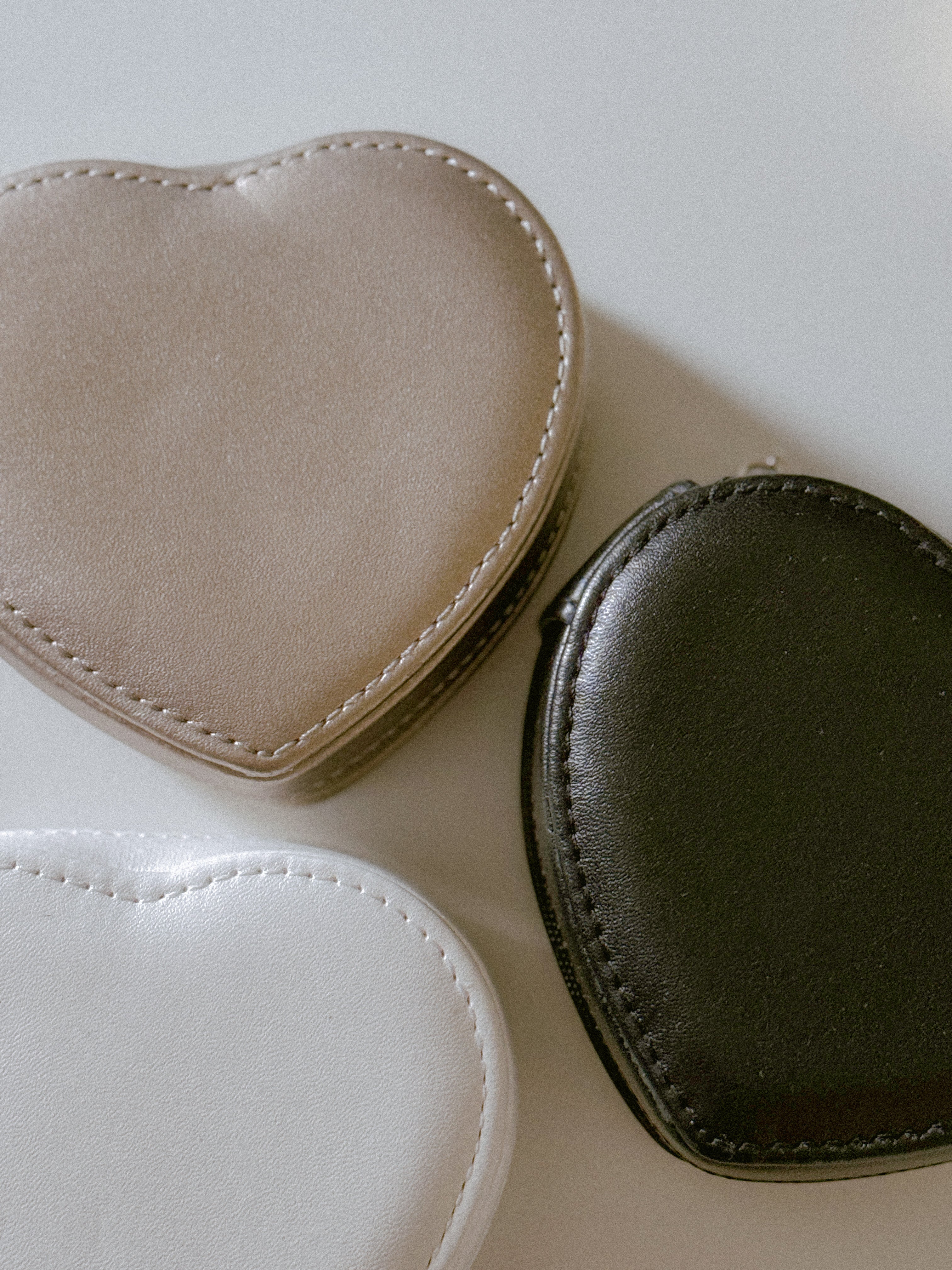 Neutrals On-the-Go Case