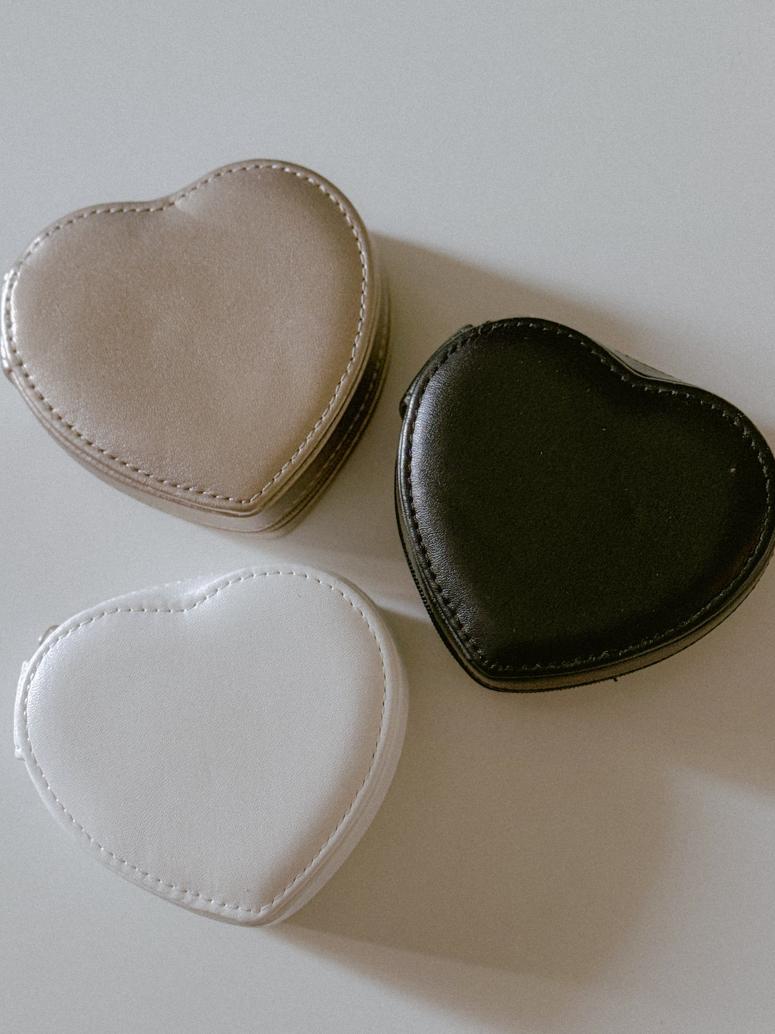 Neutrals On-the-Go Case