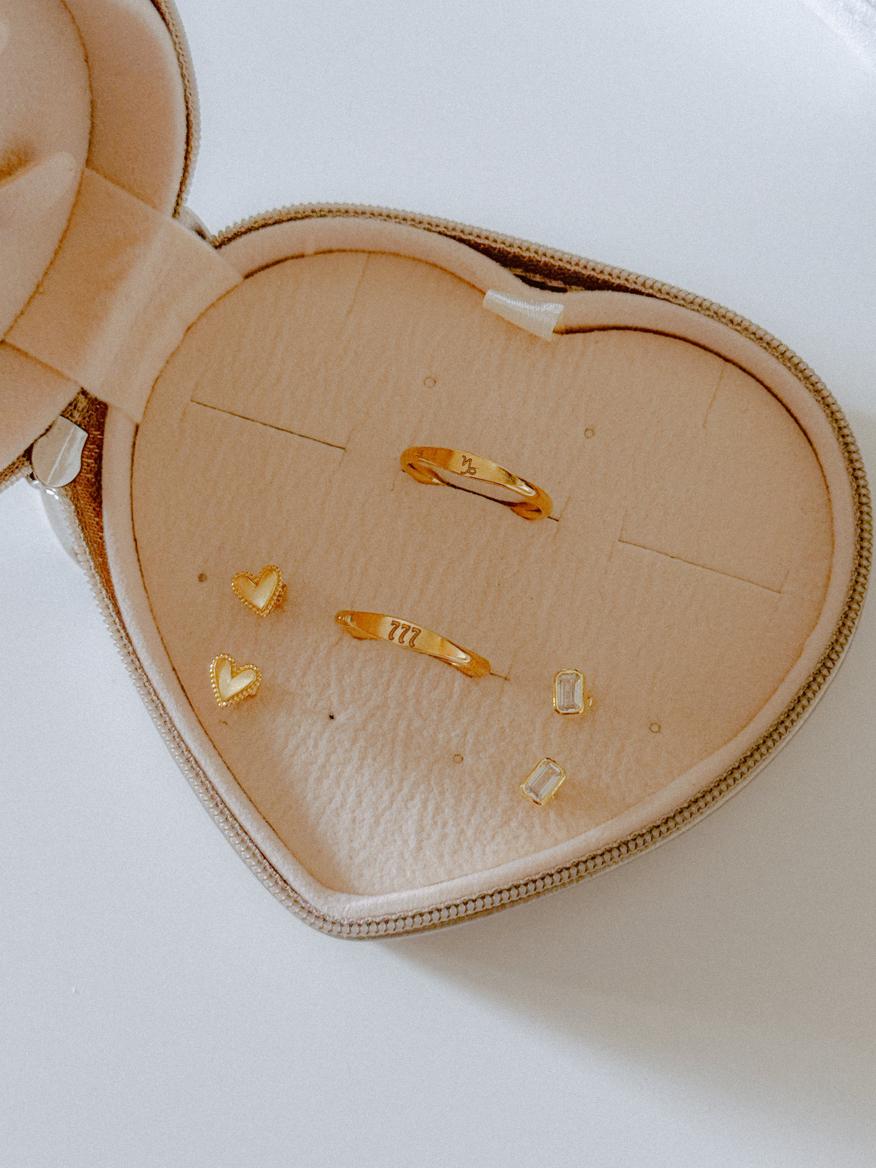 Neutrals On-the-Go Case