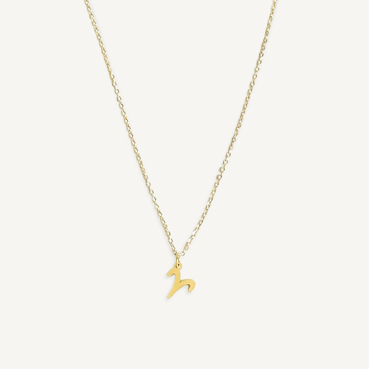 The Mini Zodiac Sign Necklace