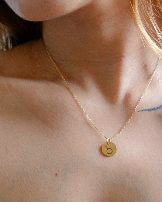 The Zodiac Sign Disc Necklace