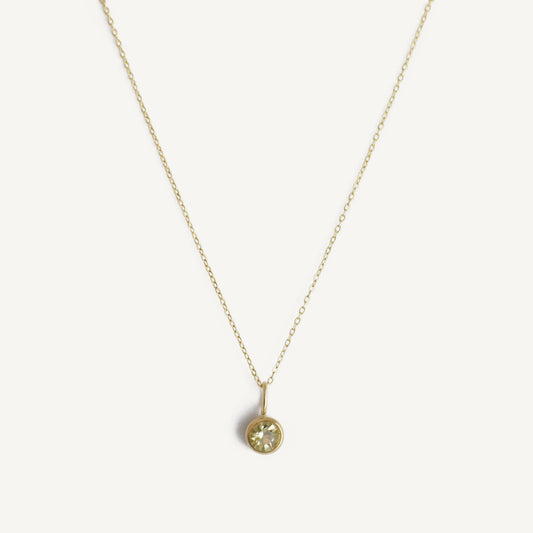 The Dainty Birthstone Necklace