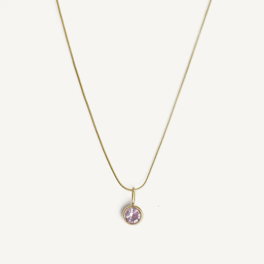 The Dainty Birthstone Slinky Necklace