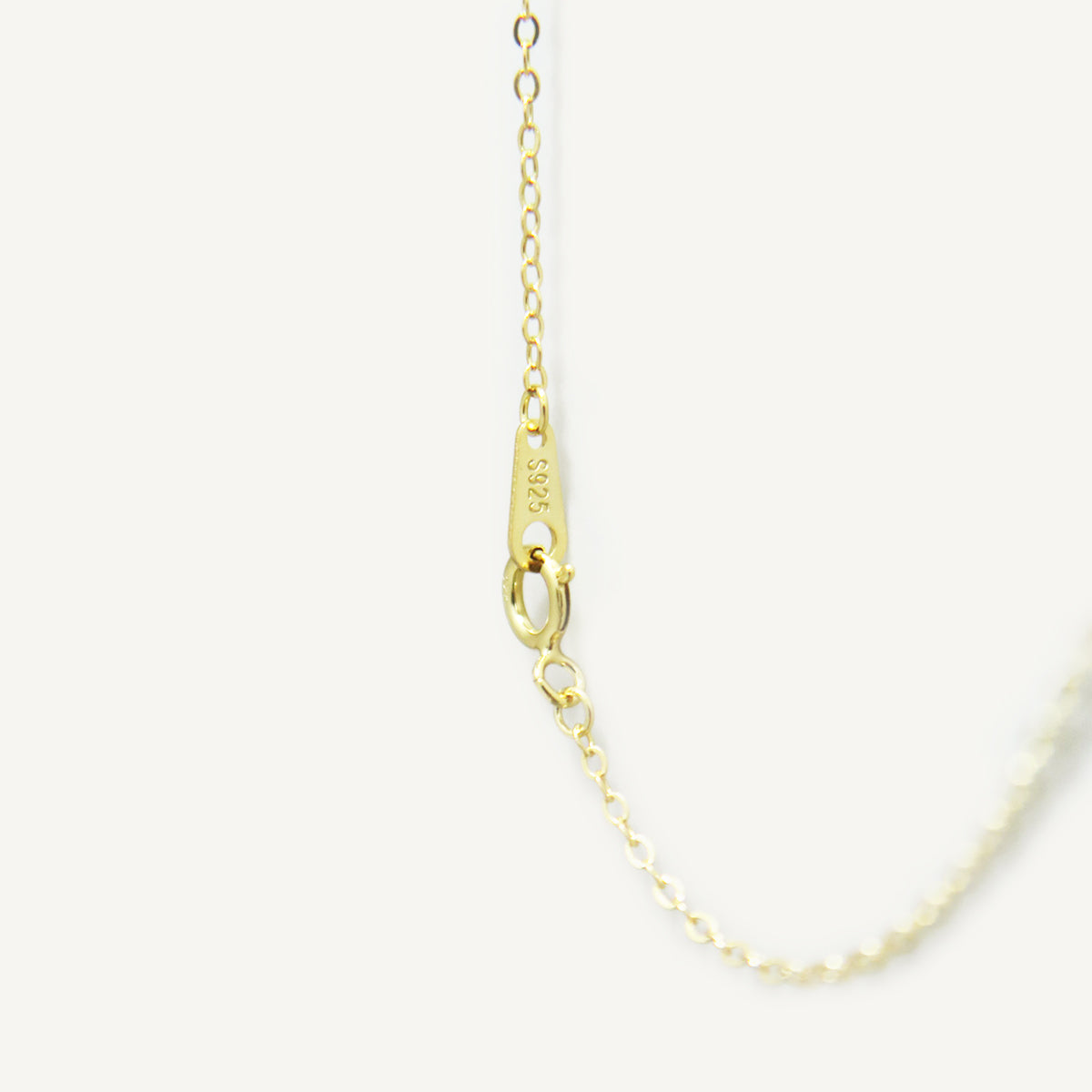 The Tiny Heart Padlock Promise Necklace