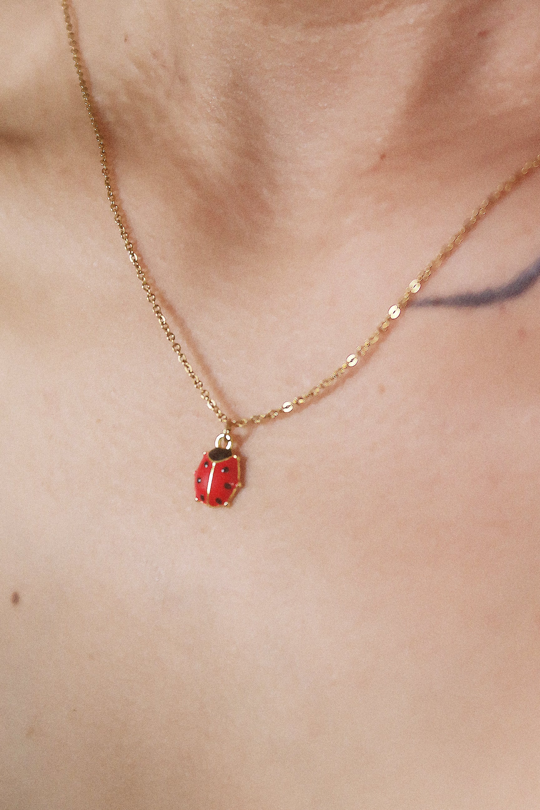 The Mini Ladybug Necklace