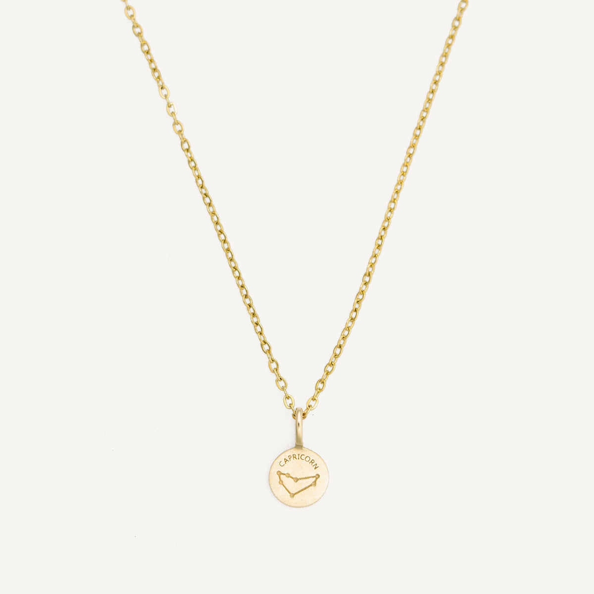 The Mini Zodiac Disc Charm in Solid Gold
