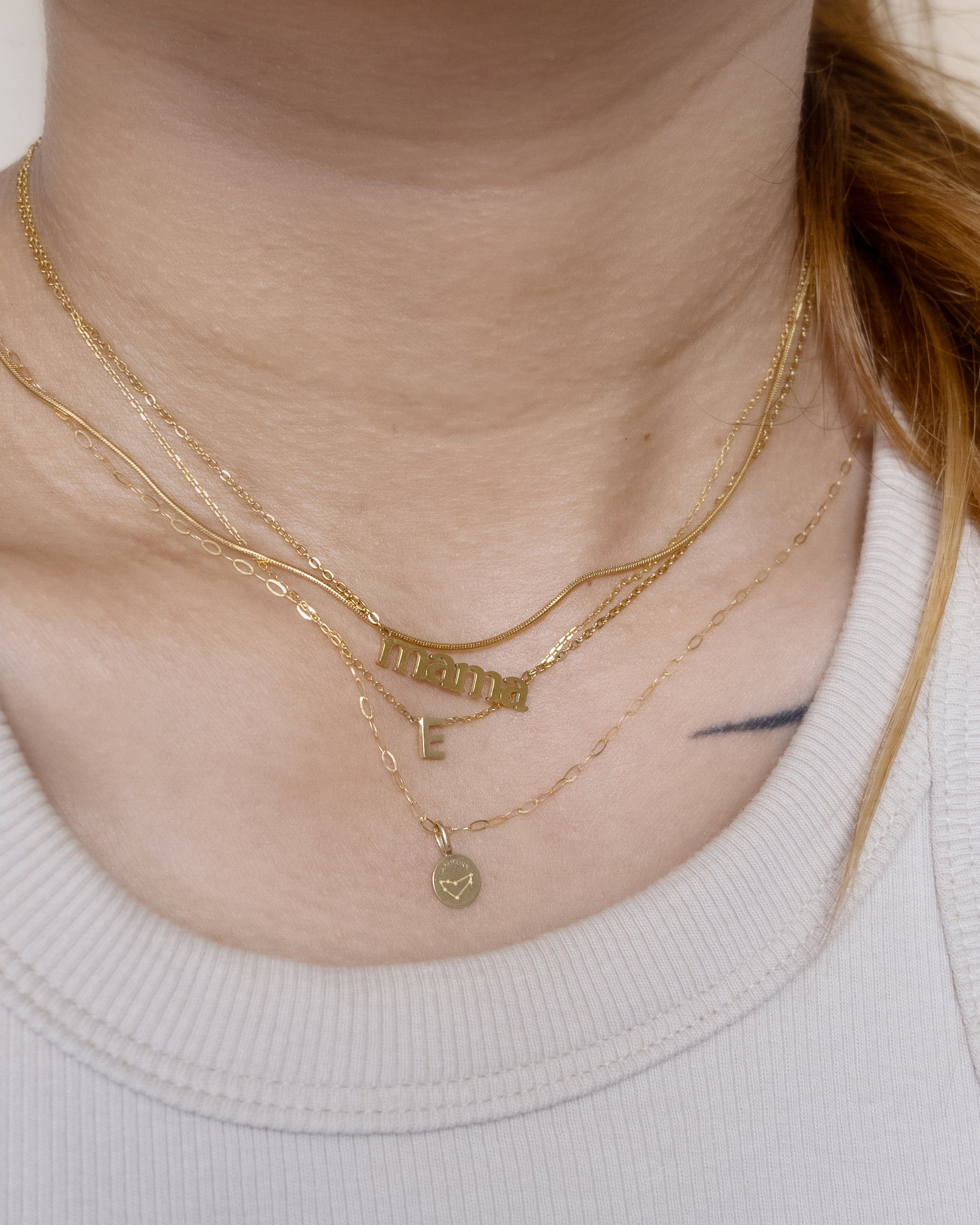 The Mini Zodiac Disc Charm in Solid Gold