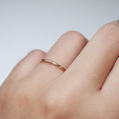 The Tiny Duo Diamond Band in Solid Gold