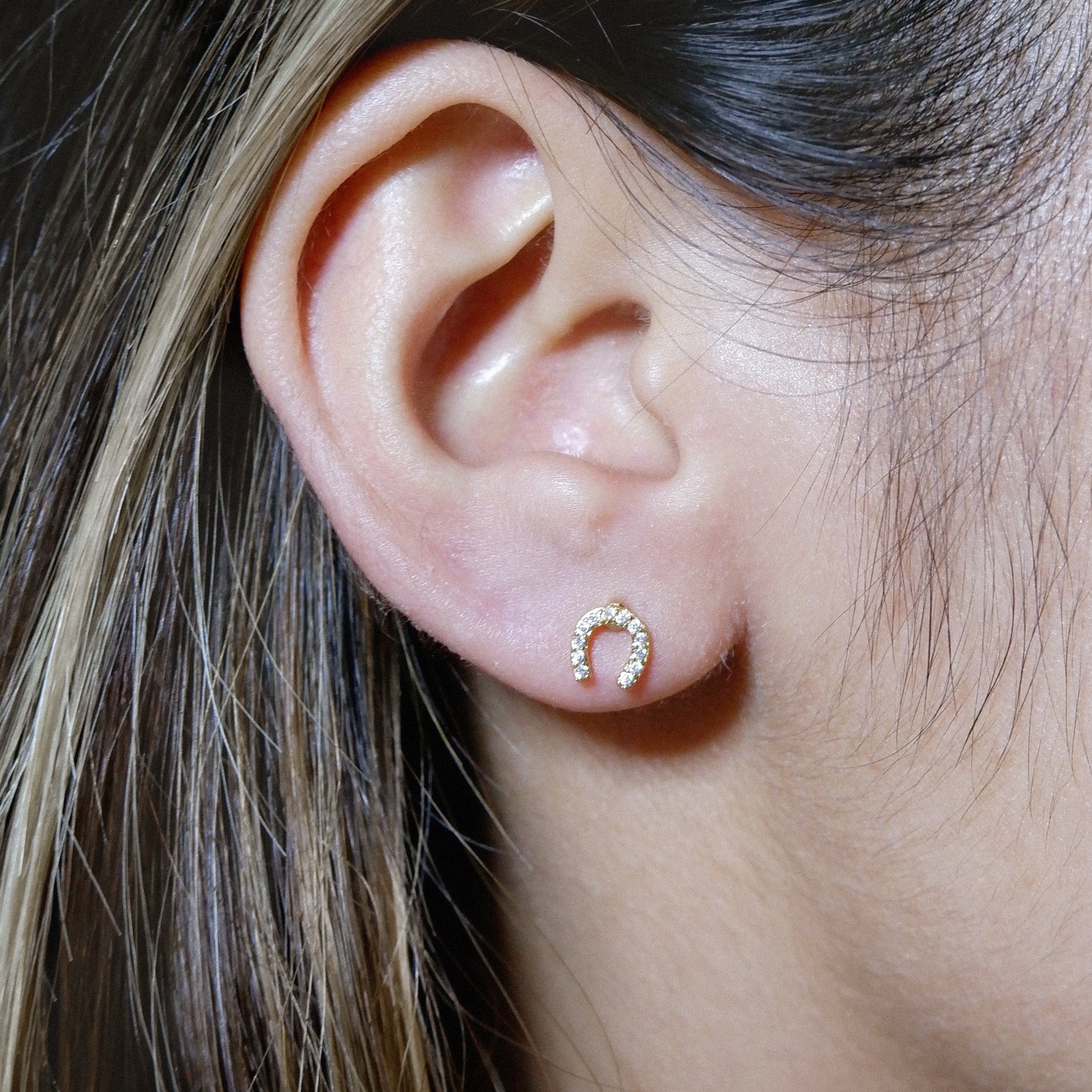 The Horseshoe Screw Back Studs