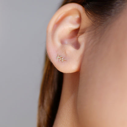 The Leaf Earrings in Solid Gold