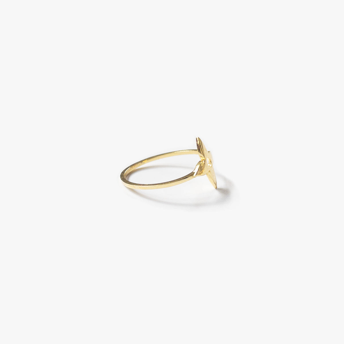 The Luster Ring in Solid Gold