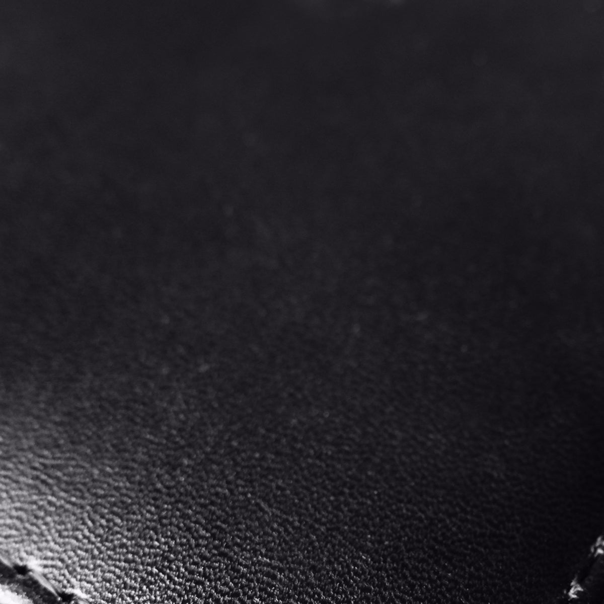 Jewelry Travel Case (Grande)